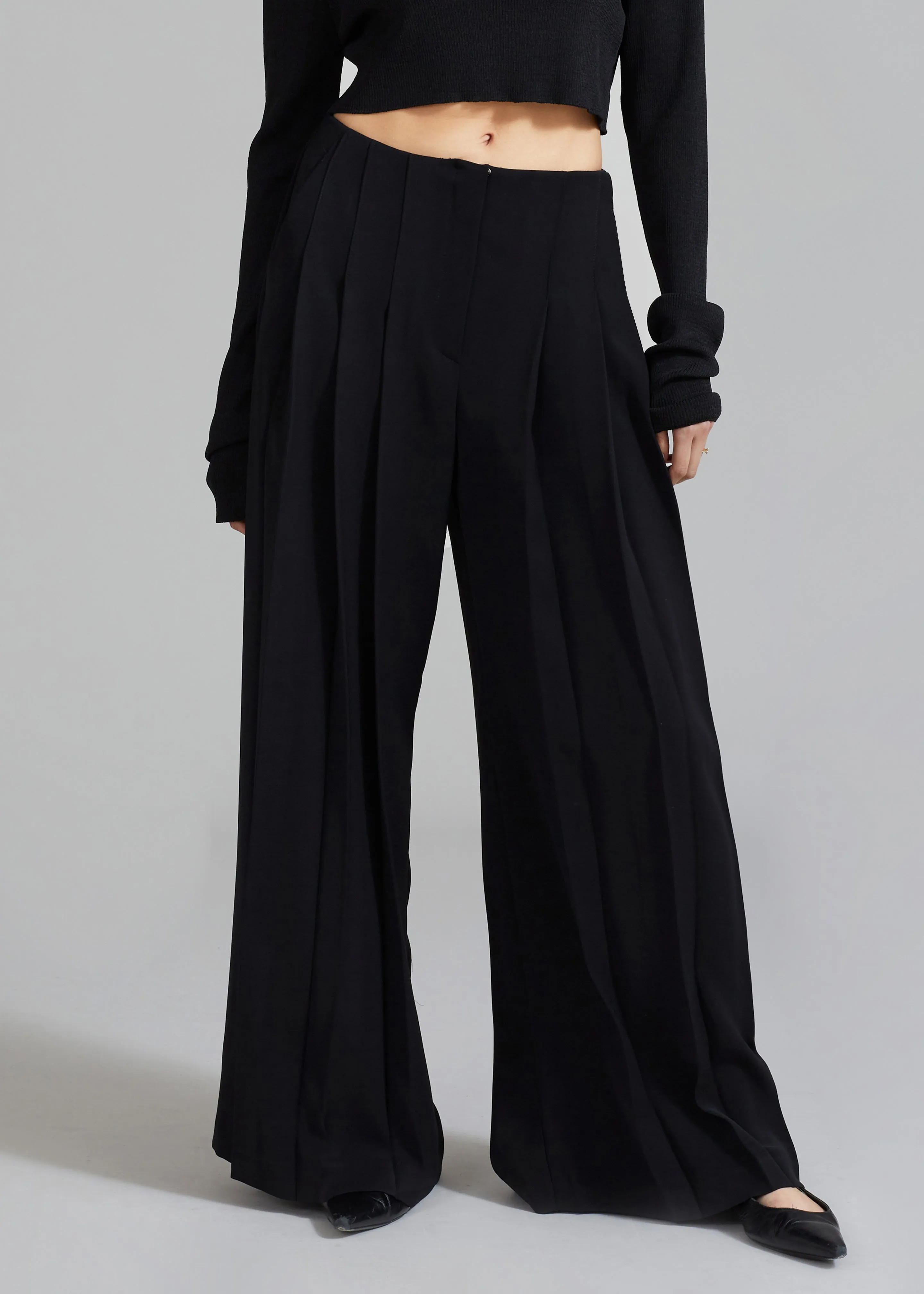 Black Dillon Pleated Pants