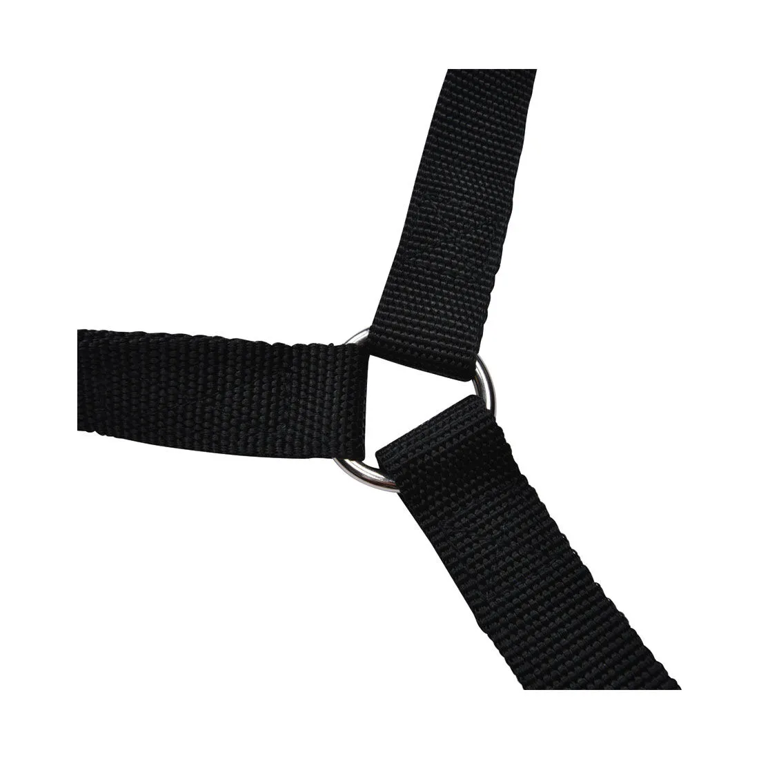 Cabin Crew Pets Headrest Restraint/Lead