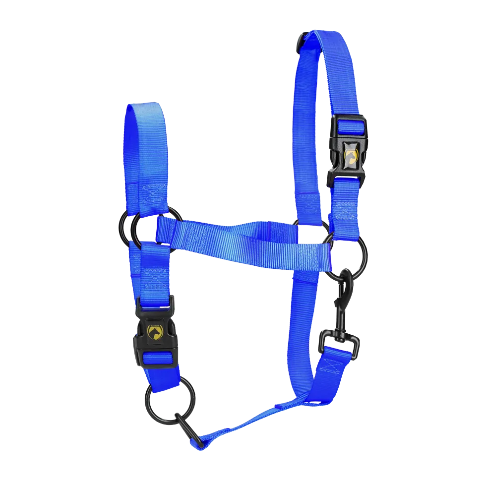 Excellent Horse Essential Halter M Pony in Blue