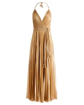 Maxi Dress with Gold Pleats