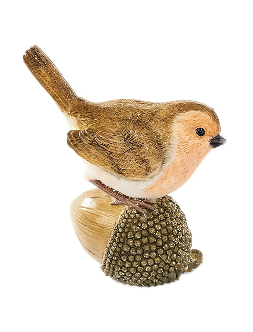 Robin on Acorn