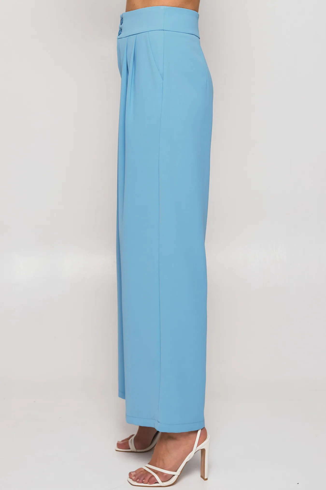 Wide Waistband Double Pleated Pants