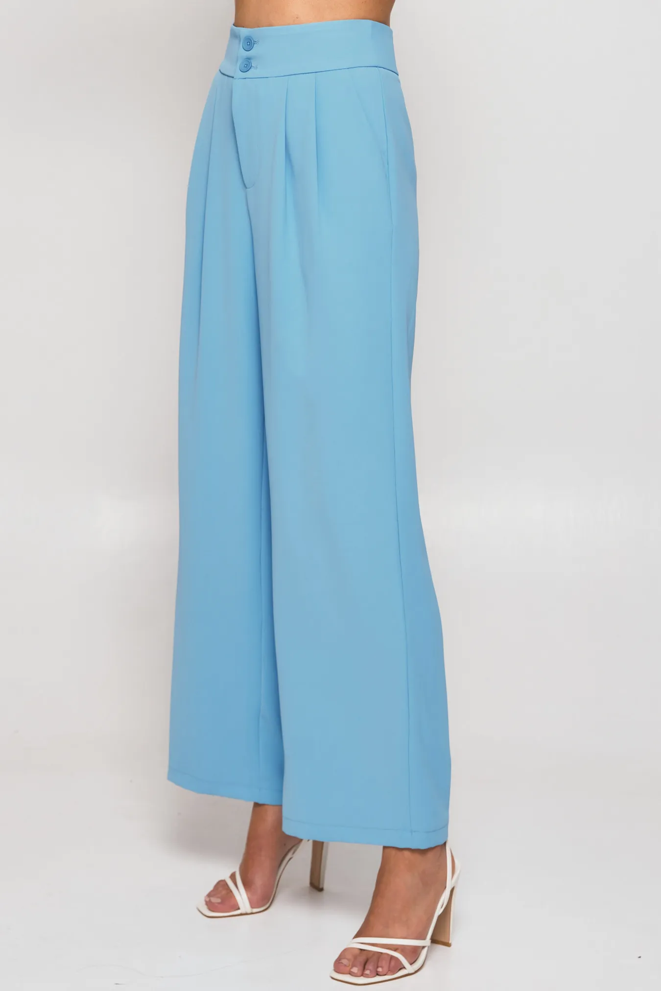 Wide Waistband Double Pleated Pants