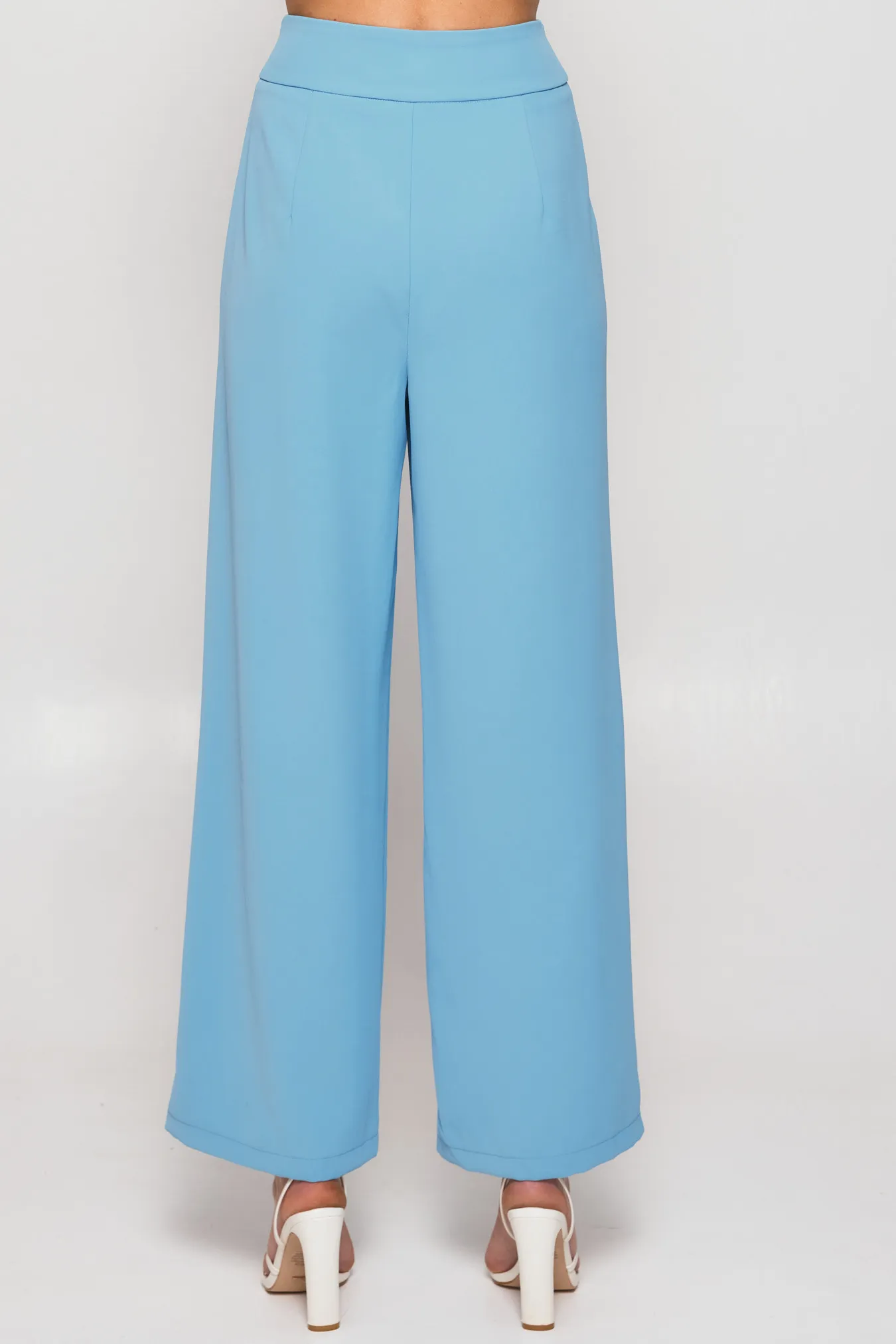 Wide Waistband Double Pleated Pants