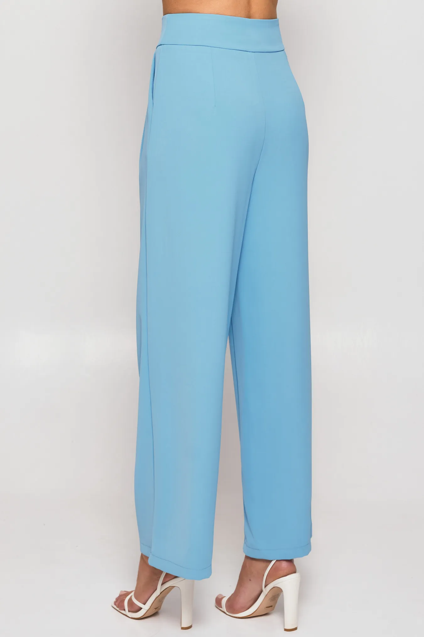 Wide Waistband Double Pleated Pants