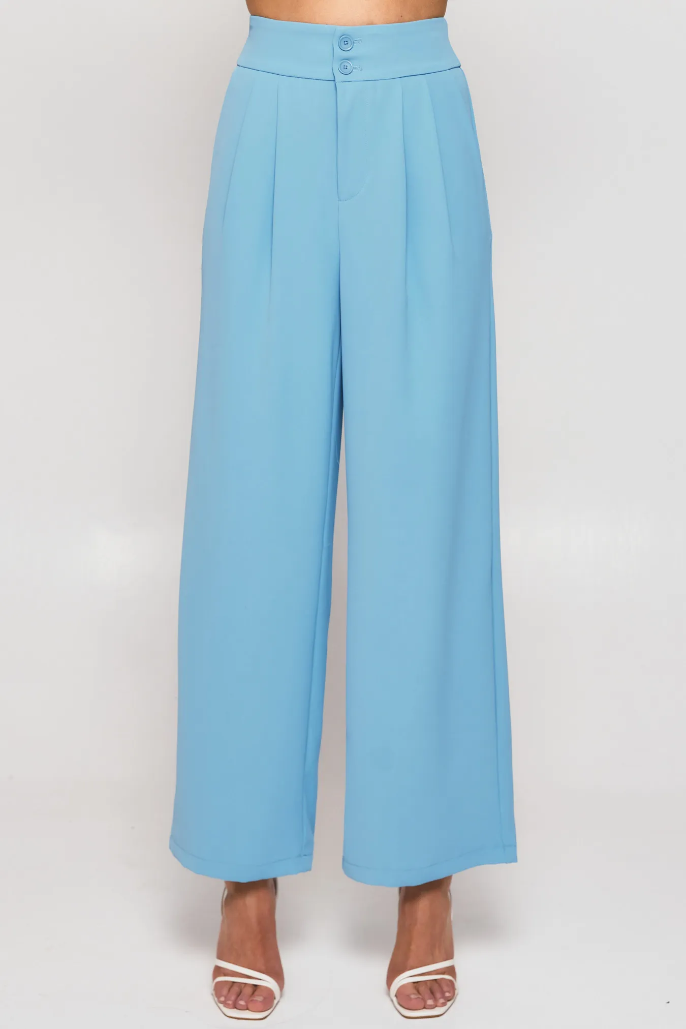 Wide Waistband Double Pleated Pants